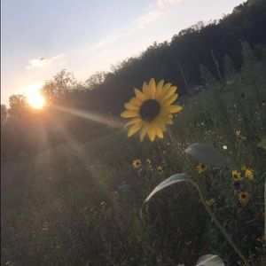 Meet your Posher, Meghan